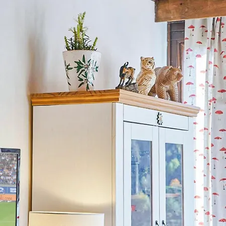 Daire Pistenblick Haus Bellevue Haus D Saalbach-Hinterglemm